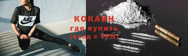 герыч Тайга