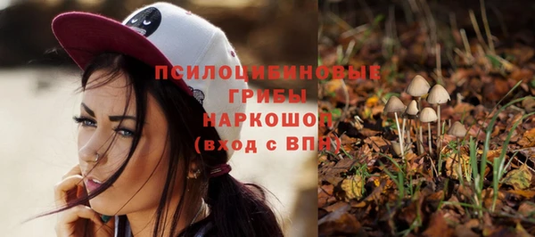 Альфа ПВП Богданович